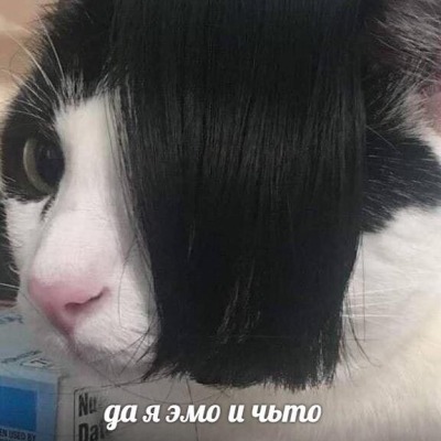 Календула Мария