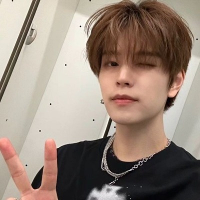 stray kids правят