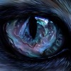 timber wolf08