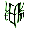 leakteam.