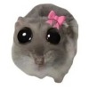 Laramysa