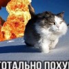 Yapodza_Borom